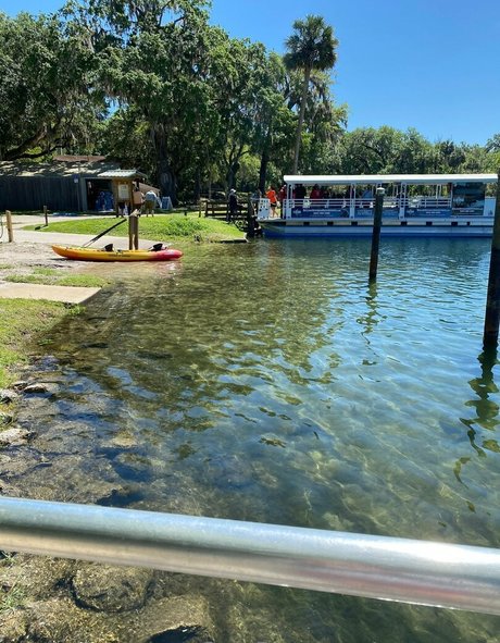 cocovandi pornstar hd image