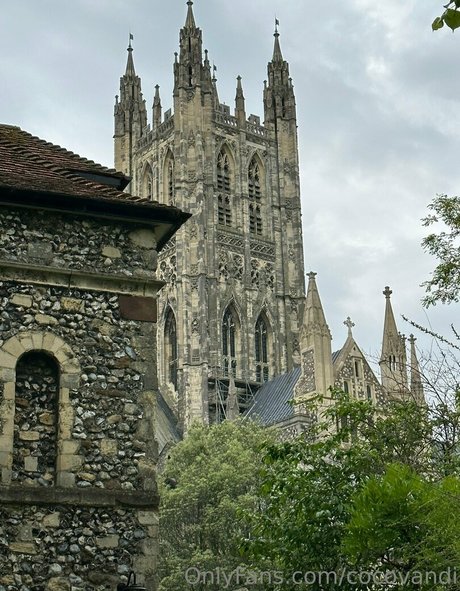 naked pictures onlyfans best photo