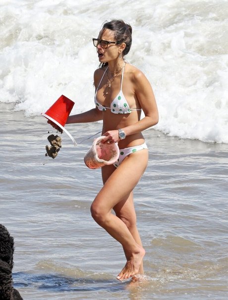 Jordana Brewster nude actress pic