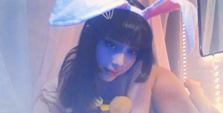 Daisyrot model images