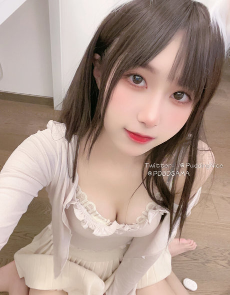 Puddingnice model images