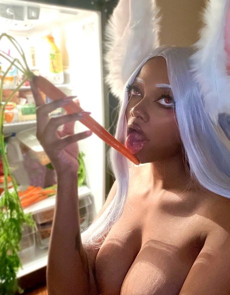 Dollyrama best model image