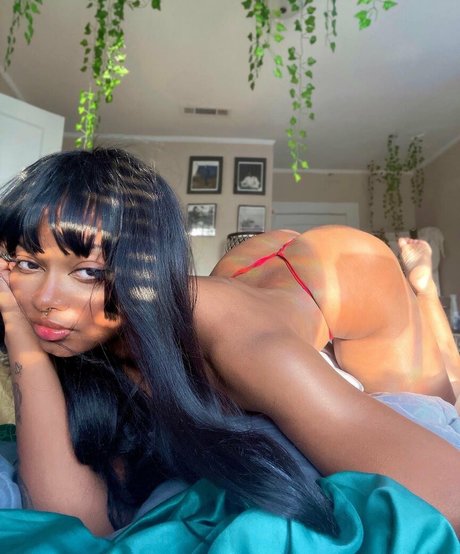 Dollyrama model adult picture