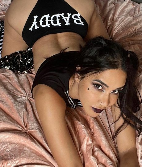 Milynn Sarley star free archive