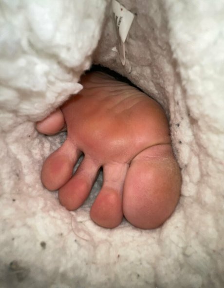 preciousssgemm free pornstar image