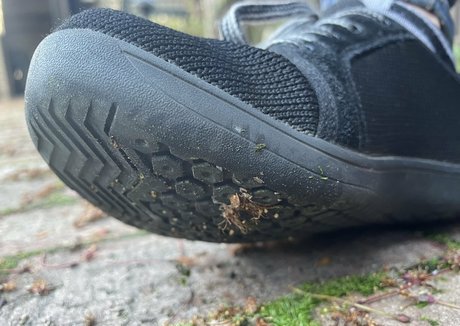 deargoddesssara top star pictures