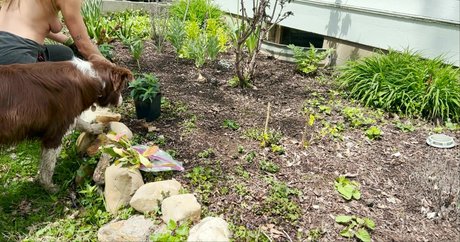 shemale outdoor onlyfans beautiful archive