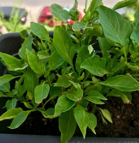 sweet 2002 pornstar nude photos