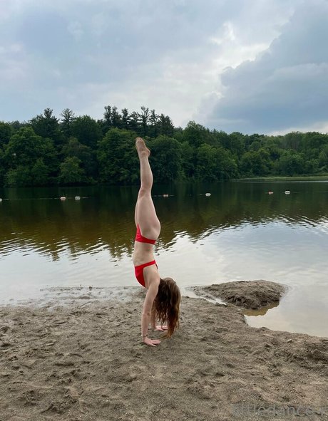 littledance r pornstar adult picture