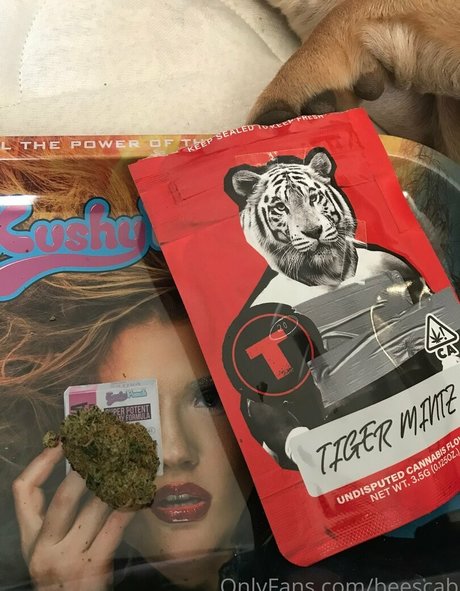 scabbee top actress pics