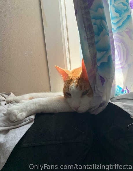 tantalizingtrifecta pornstar naked archive