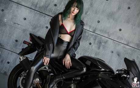 lisaberry sg art star images