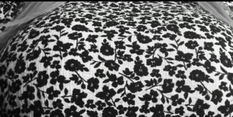 videos amateur onlyfans free porn pictures