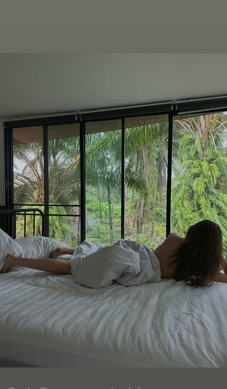 robinsoncrusoe model nice archive