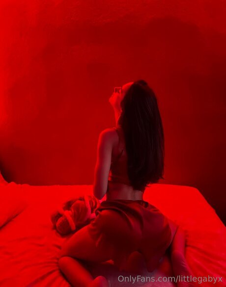 littlegabyx star art gallery