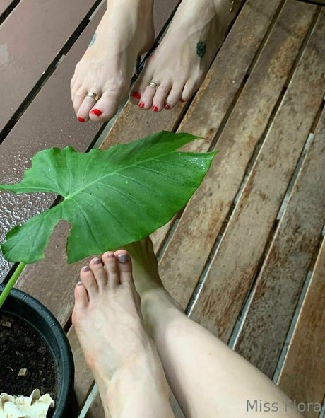 Miss Flora Femdom nude star picture