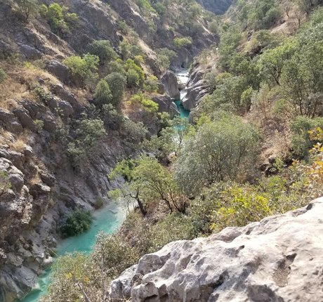 trans asian onlyfans sexy nudes galleries