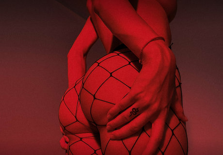 pretylittlething sexy pornstar img