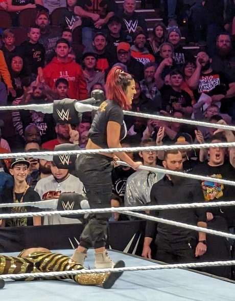 Bayley art star image