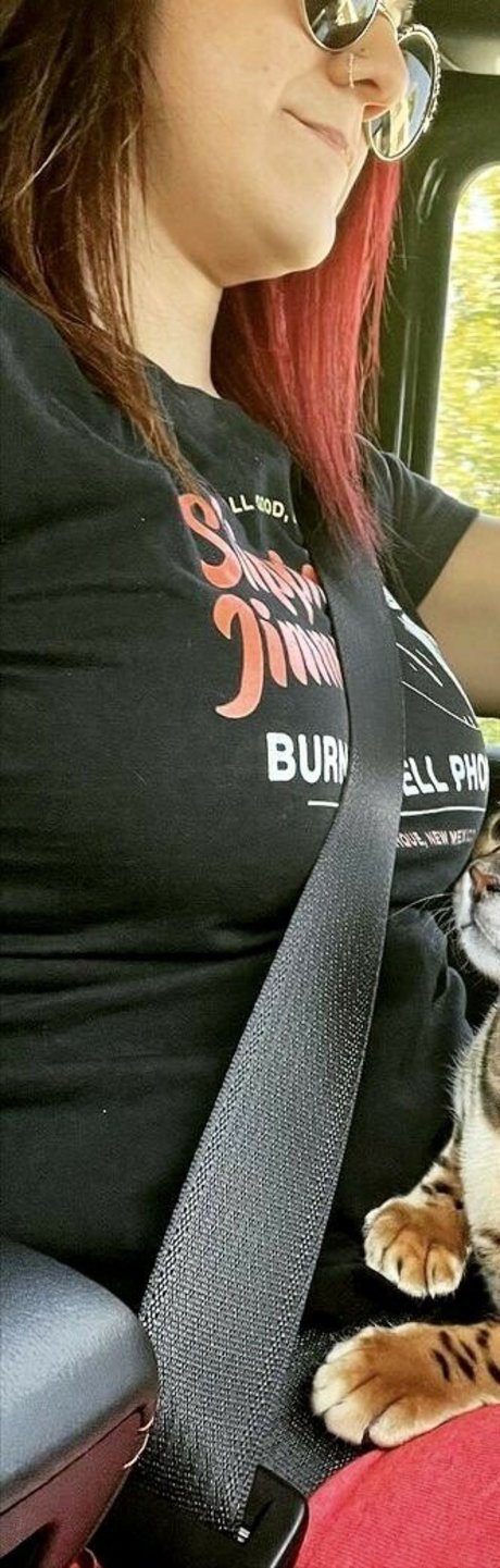 Bayley model top image