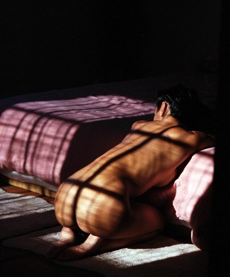 trans free onlyfans porno archive