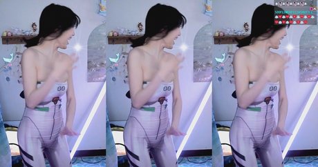 sooflower Photo Gallery