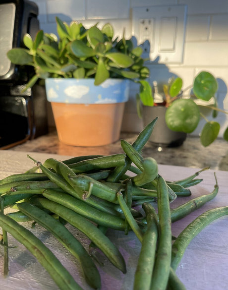 allyfromthesouth hot pornstar img