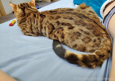 secretlumi best star pic