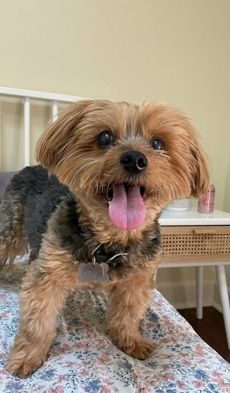 NakedBakers model perfect photos