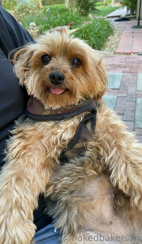 reverse cowgirl onlyfans pretty pic