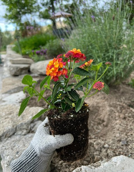 naked pictures onlyfans free naked image