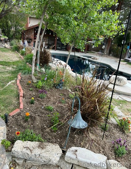 NakedBakers nice pornstar pic