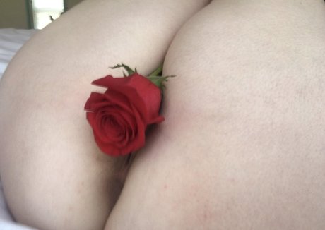 mechanicalhymen model best pics