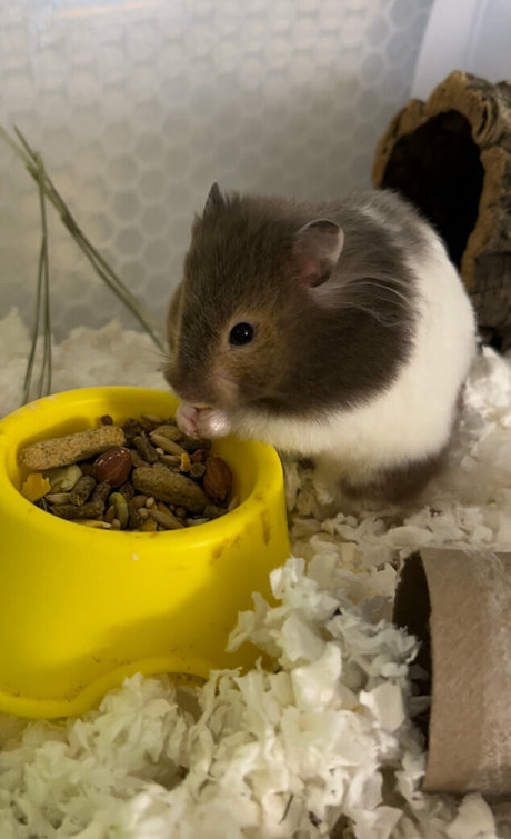 ebony fingering onlyfans erotic gallery