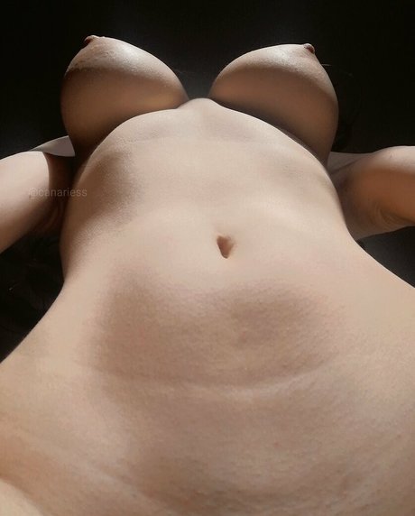 canariess Photo Gallery