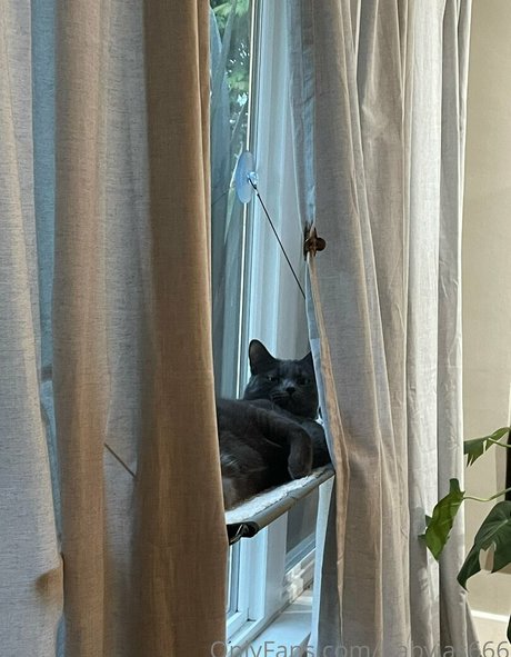 babyjas666 nice model photo