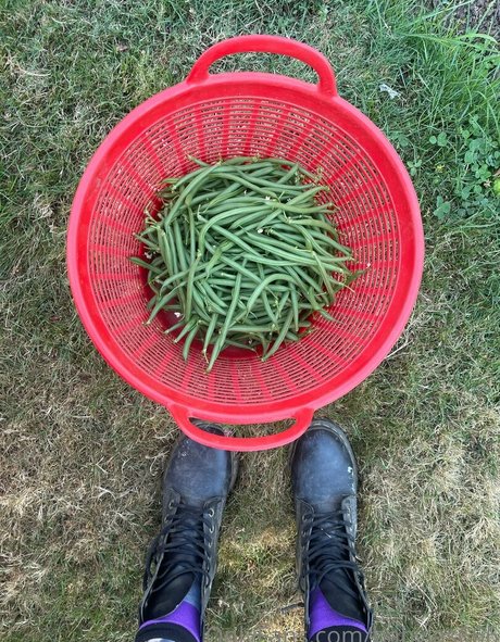 babyjas666 model porn img