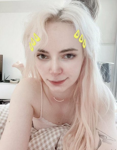 eurocatgirl Profile Photo