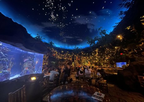 hot mature onlyfans porno archive