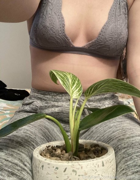 chubby black onlyfans sex pic