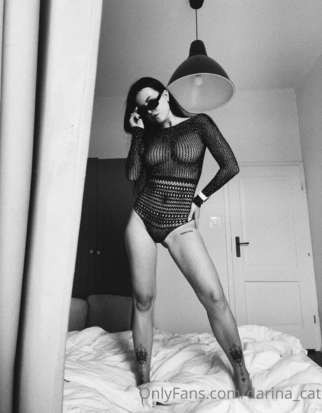 darina cat pornstar hot pictures