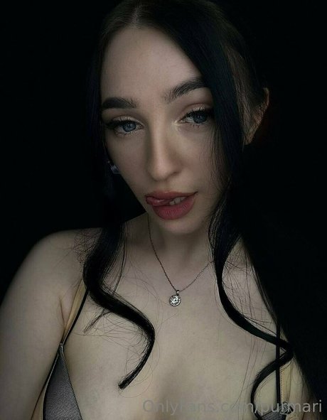 purmari art star images