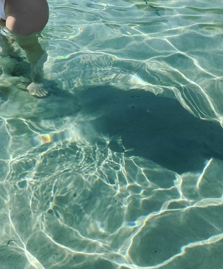 Dajinism model top picture