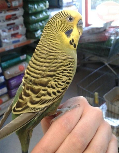 big fat ass onlyfans free sexy picture