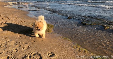 trans free onlyfans art porn pic