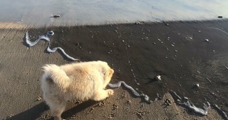 midget girls onlyfans free sex galleries