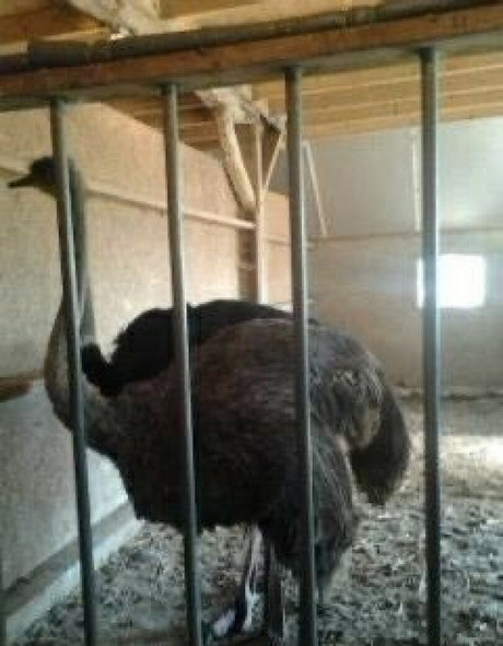 meaty pussy onlyfans free sexy pictures