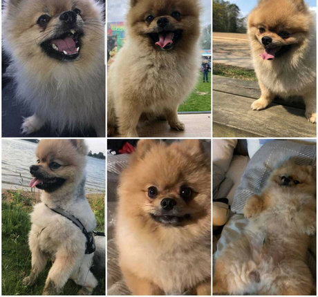 prison onlyfans hot xxx images