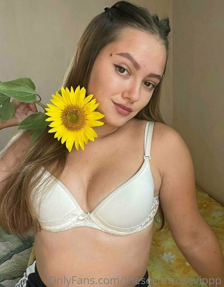 thesecretrosevippp best pornstar pictures