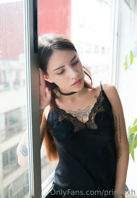 prinsexh hd model archive